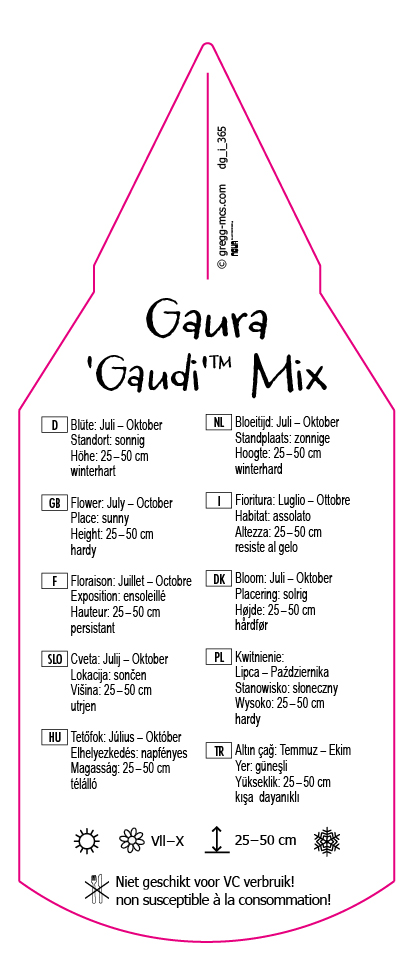 Gaura Gaudi Mix