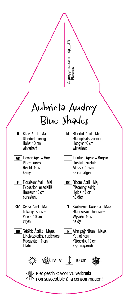 Aubrieta Audrey Blue Shades