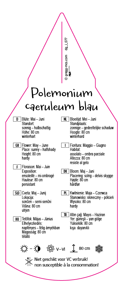 Polemonium caeruleum blau