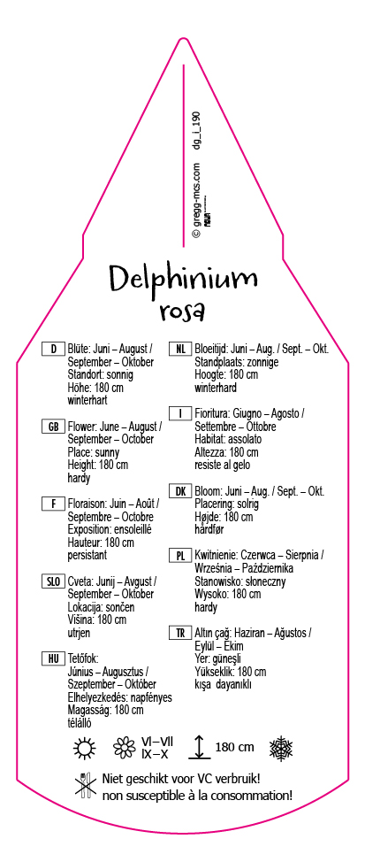 Delphinium rosa