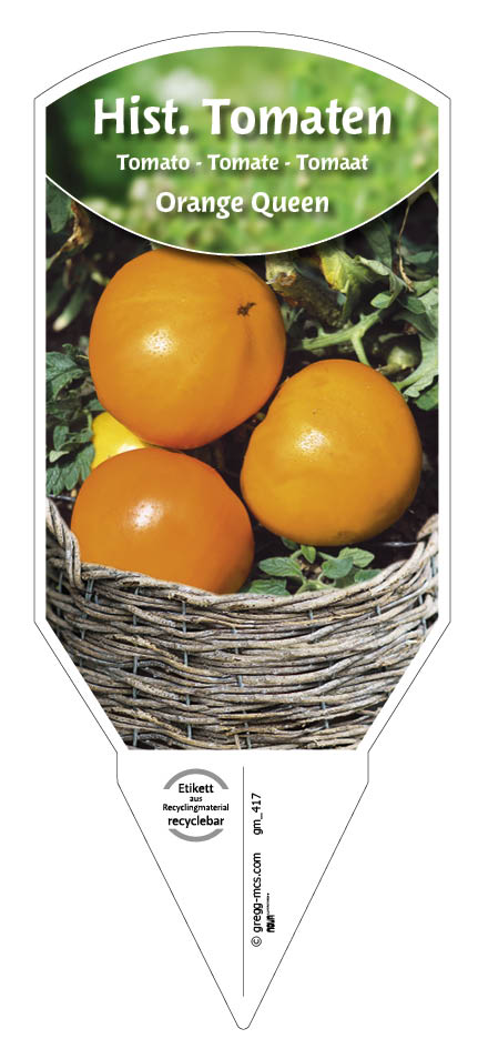 Tomaten, Historische Orange Queen 
