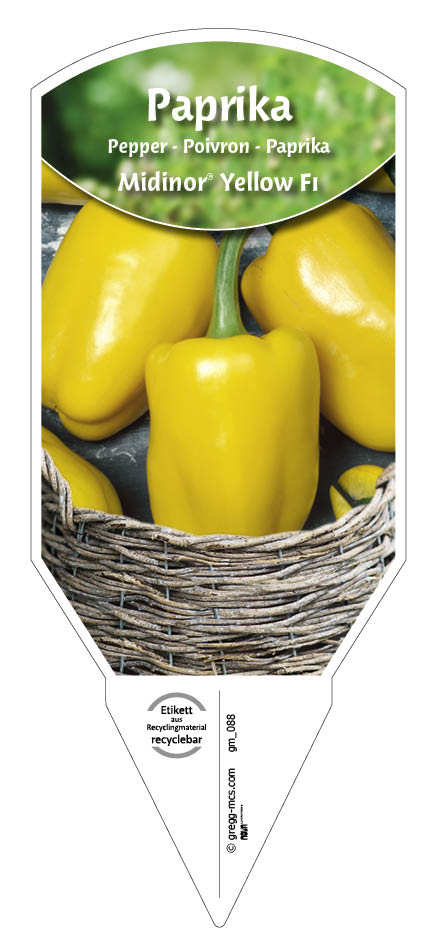 Paprika, Midinor® Yellow F1