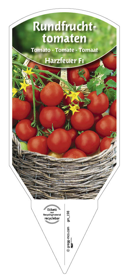 Tomaten, Rundfrucht- Harzfeuer F1