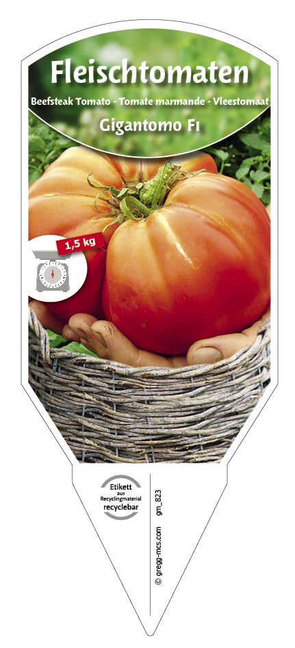 Tomaten, Fleisch- Gigantomo F1
