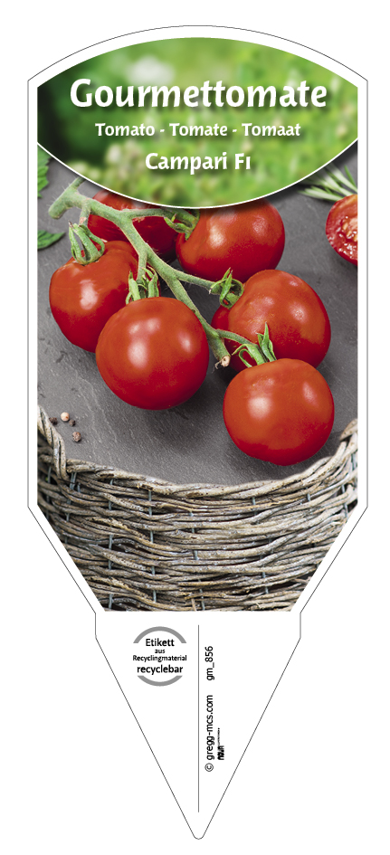 Tomaten, Gourmet Campari F1 