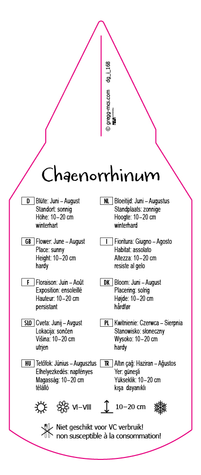 Chaenorrhinum
